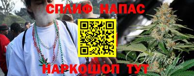 apvp Ростов-на-Дону
