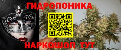apvp Ростов-на-Дону