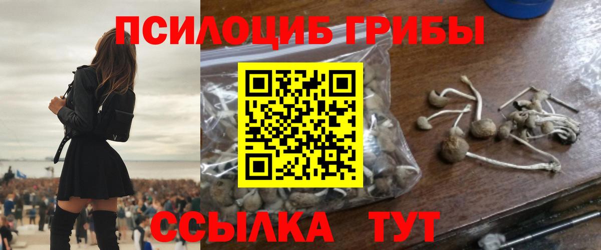 Псилоцибиновые грибы ЛСД  наркошоп  Качканар  Вход с VPN 