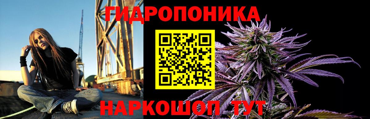 Конопля марихуана  Вход с VPN  Бошки марихуана VHQ  Качканар  МАРИХУАНА Amnesia 